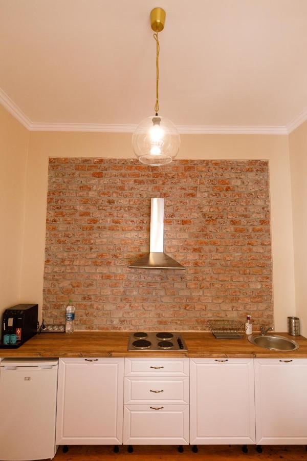 蒂米什瓦拉Stylish Flat In The Heart Of Historical Center公寓 外观 照片